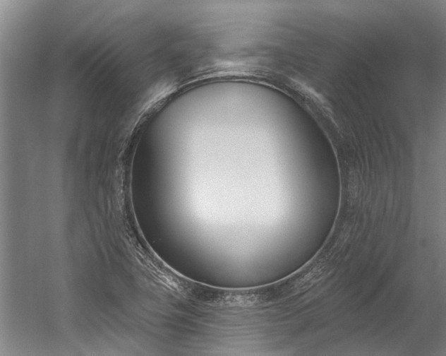 X0000060271411200510281220