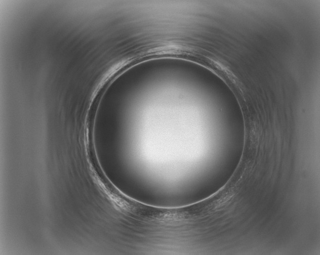X0000060271418200510281220