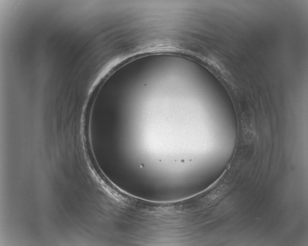 X0000060271422200510281220