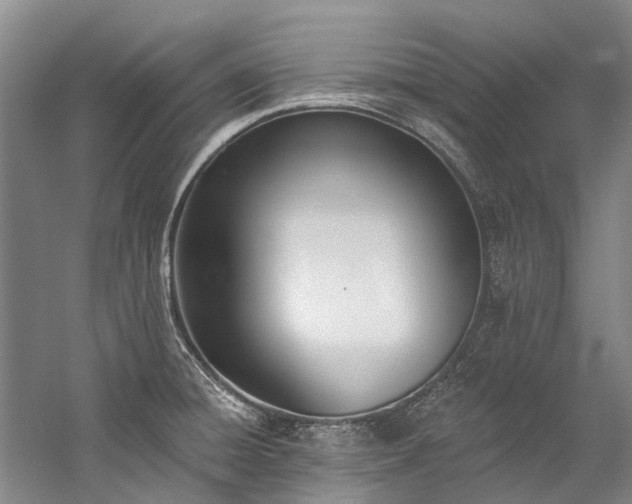 X0000060271428200510281220