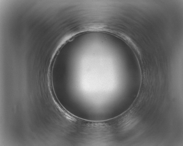 X0000060271432200510281220
