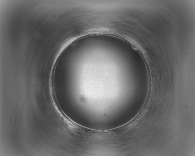 X0000060271440200510281220