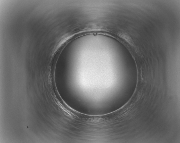 X0000060271452200510281219