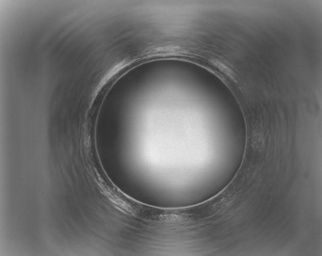 X0000060271458200510281219