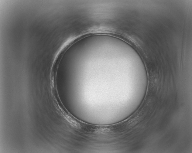 X0000060271462200510281219