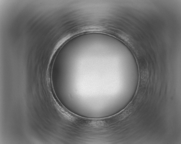 X0000060271466200510281219