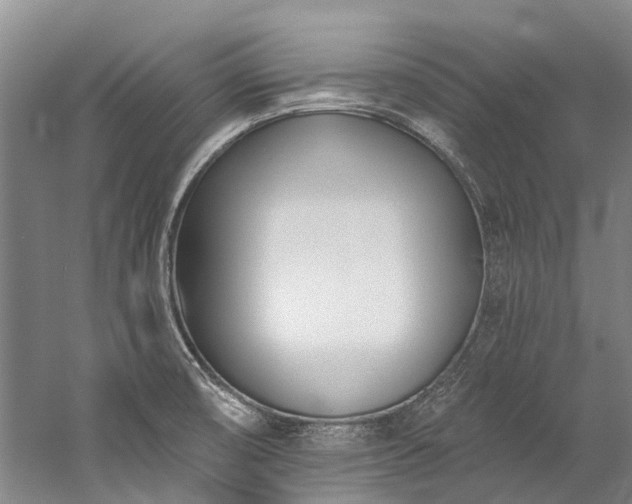 X0000060271474200510281219