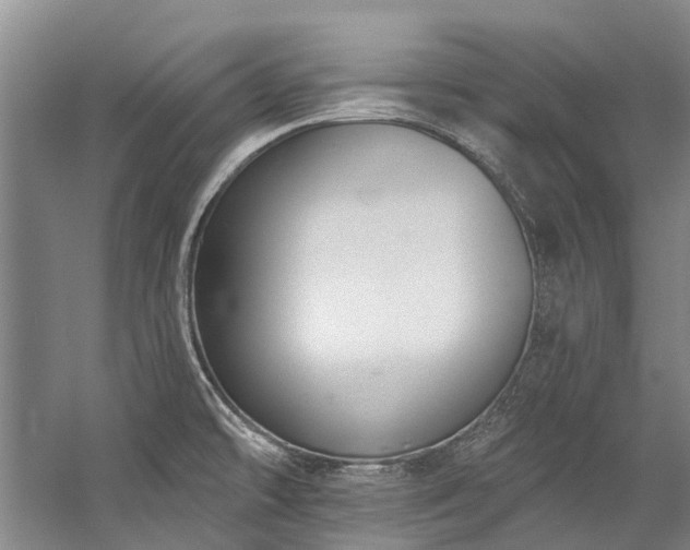 X0000060271478200510281219