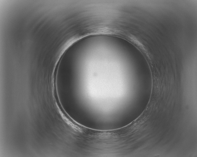 X0000060271479200510281219