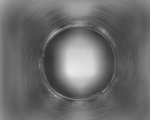 X0000060271481200510281219