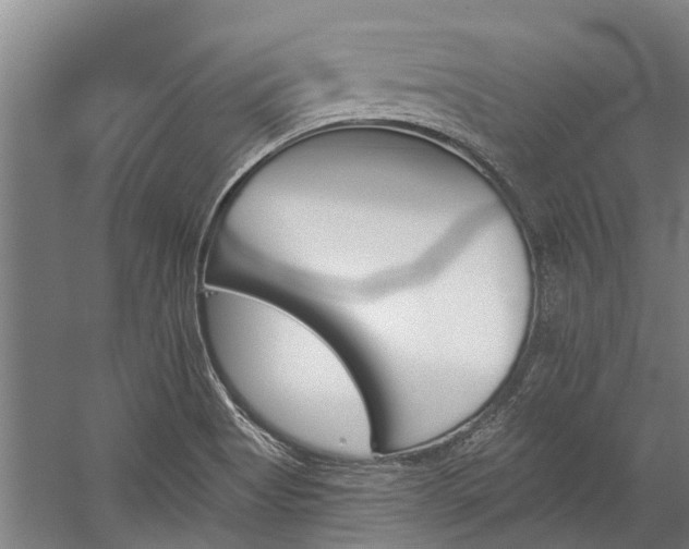 X0000060271513200510281218