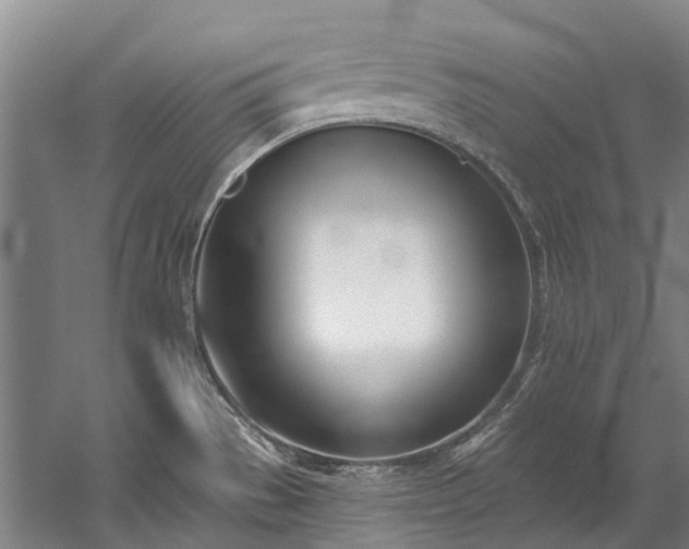 X0000060271529200510281218