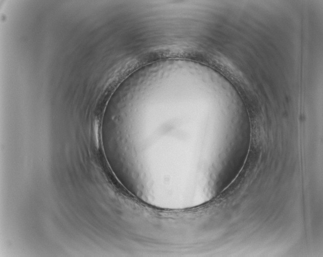 X0000060270022200511010950