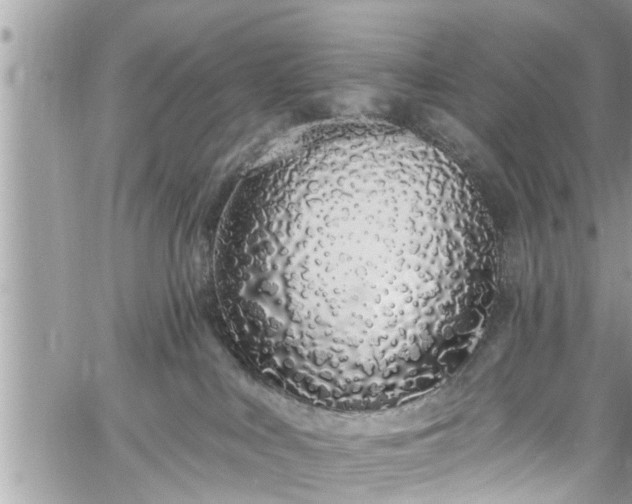 X0000060270043200511010950
