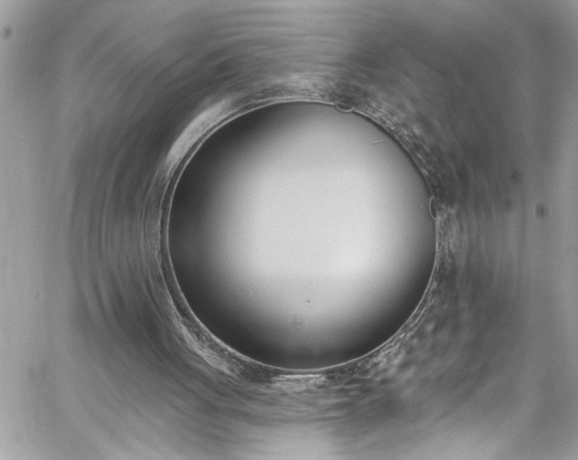 X0000060270051200511010949