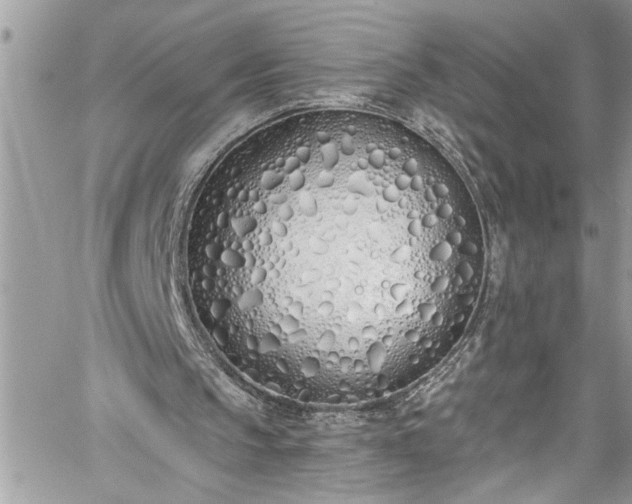 X0000060270145200511010947
