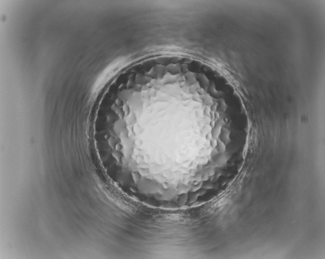 X0000060270151200511010947