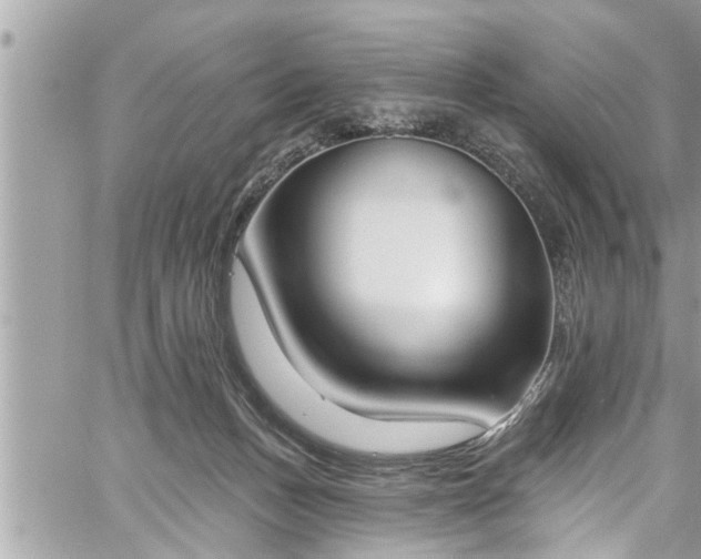 X0000060270175200511010948