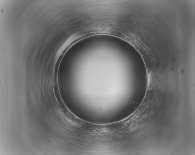 X0000060270195200511010947