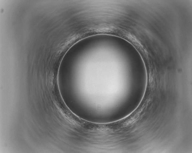 X0000060270201200511010947