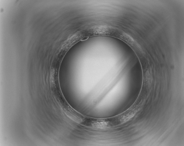 X0000060270217200511010947