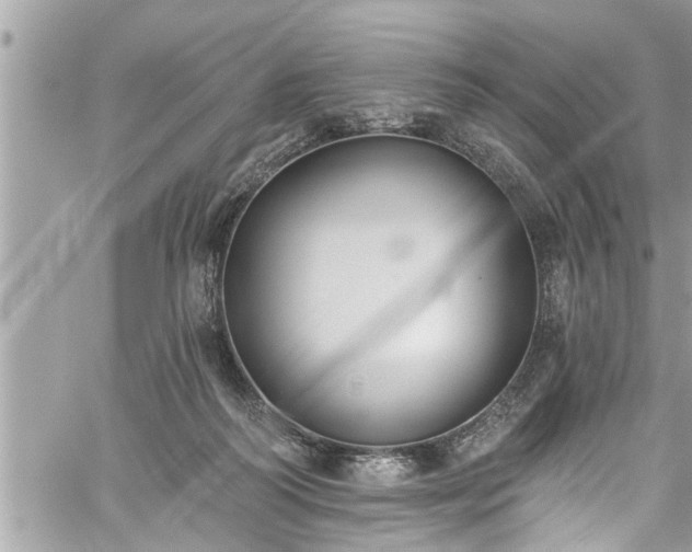 X0000060270218200511010947