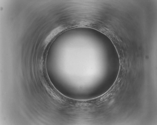 X0000060270242200511010946