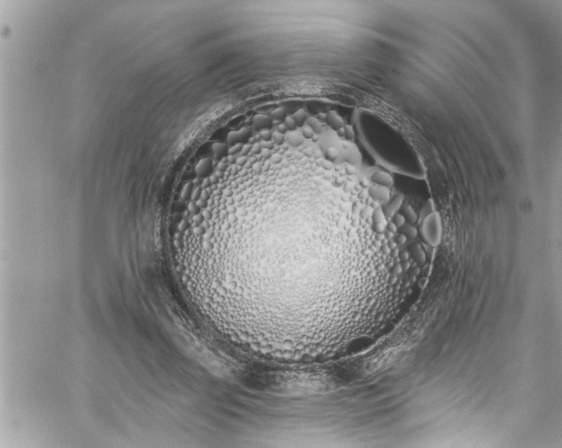 X0000060270347200511010944