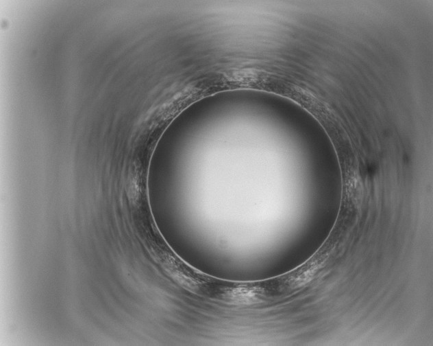 X0000060270566200511010942