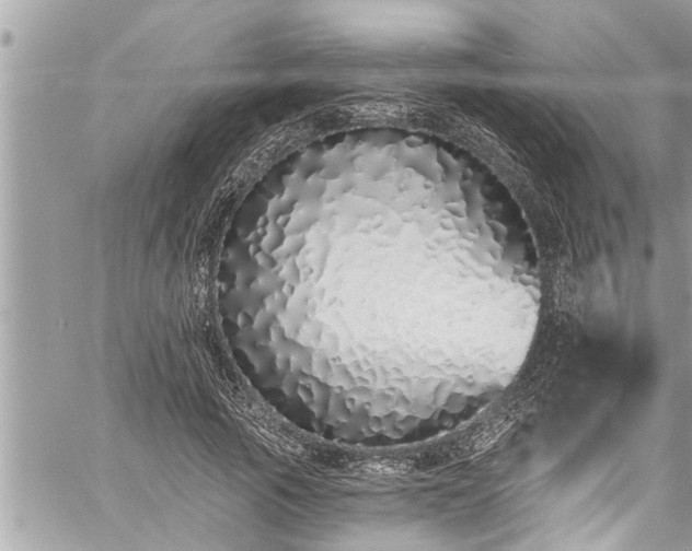X0000060270737200511010938