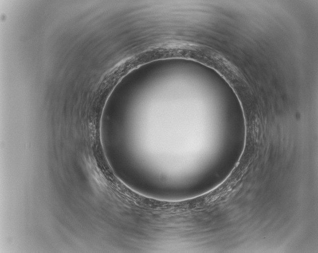 X0000060270821200511010936