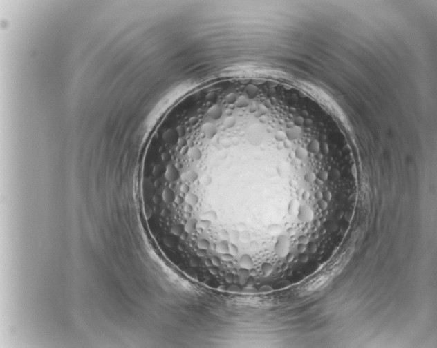 X0000060270855200511010937