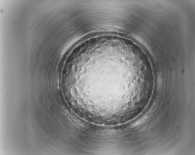 X0000060270925200511010935