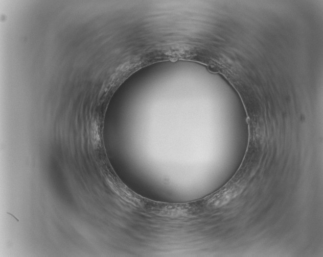X0000060271106200511010931