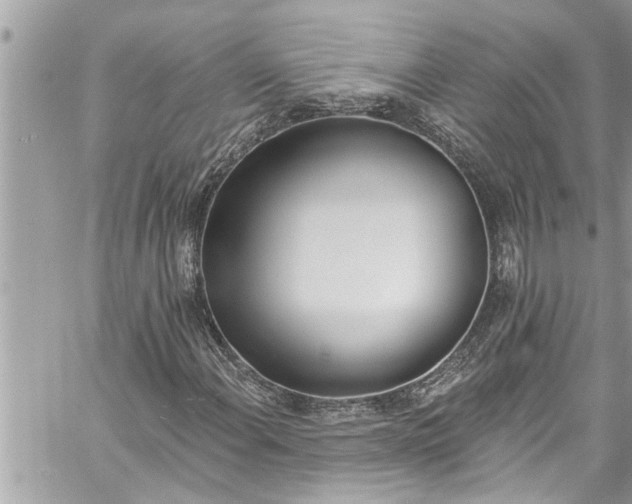 X0000060271108200511010931