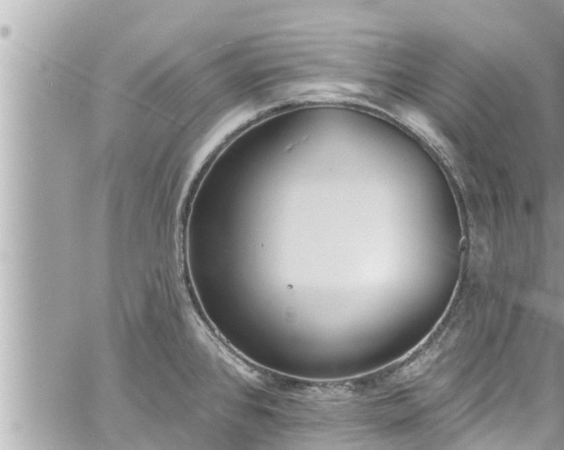 X0000060271384200511010927