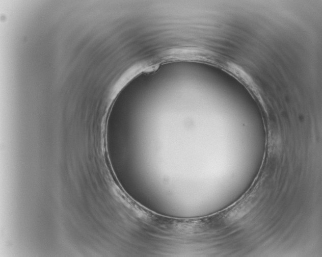 X0000060271386200511010927