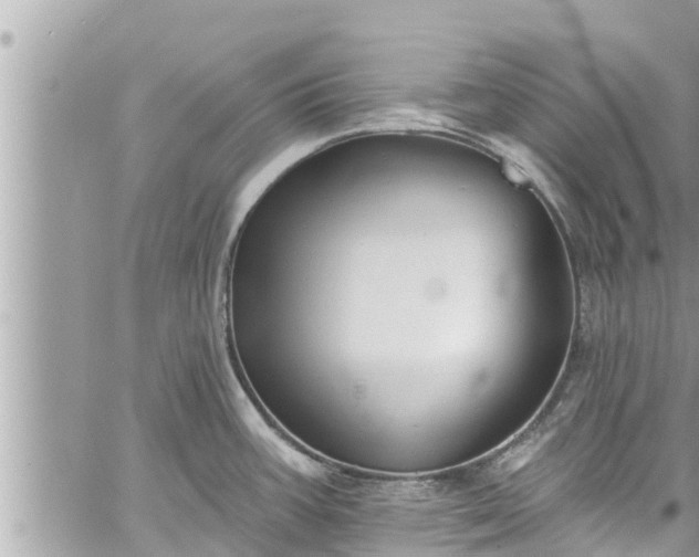 X0000060271387200511010927