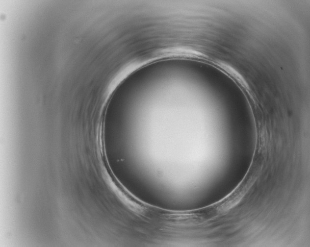 X0000060271391200511010927