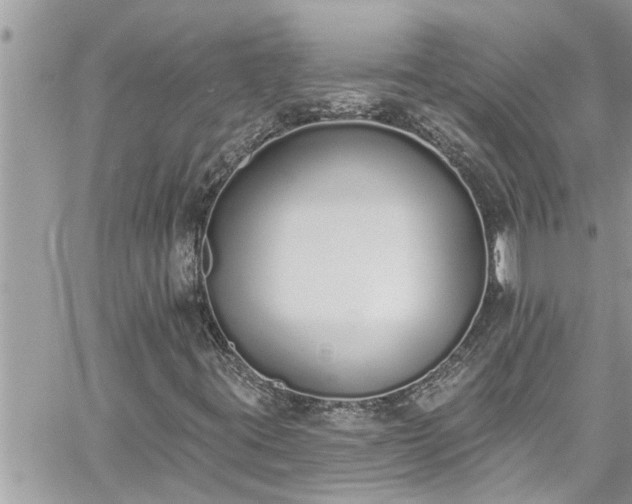 X0000060271395200511010927