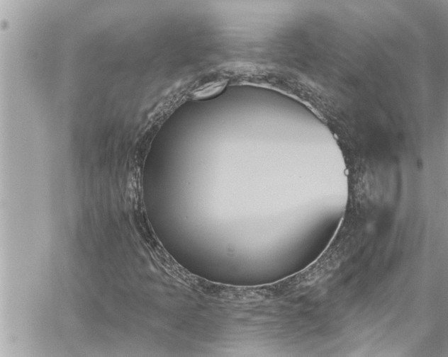 X0000060271397200511010927