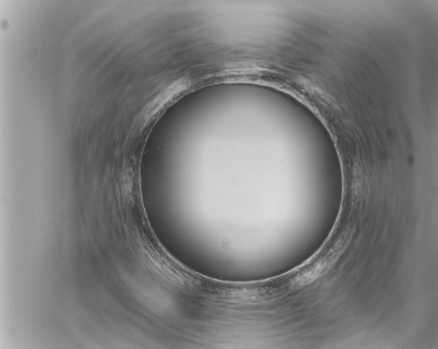 X0000060271401200511010927