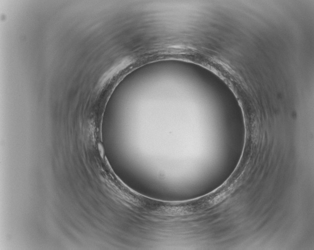 X0000060271402200511010927