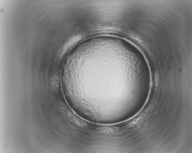 X0000060271405200511010927