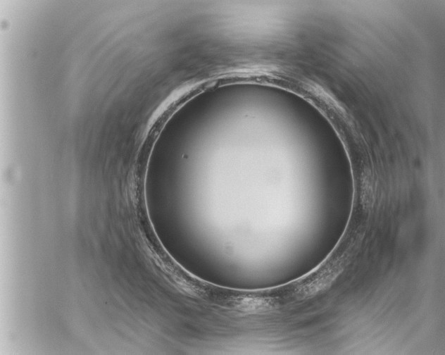 X0000060271412200511010927