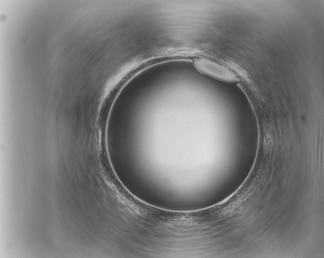 X0000060271414200511010927