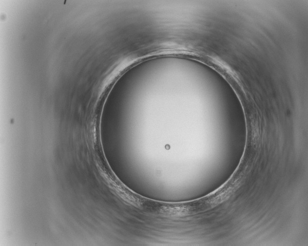 X0000060271415200511010927