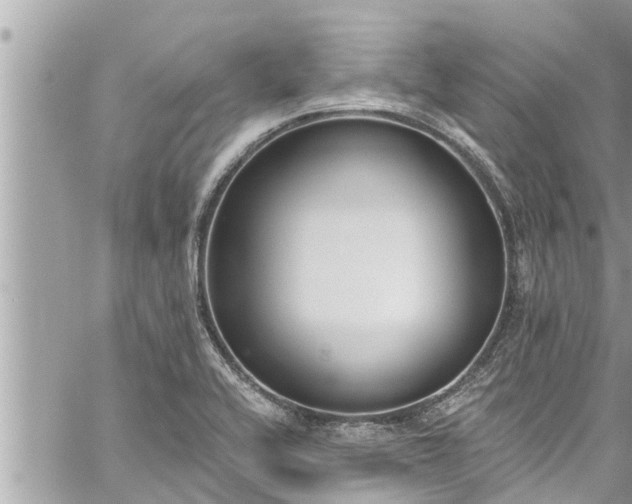 X0000060271416200511010927