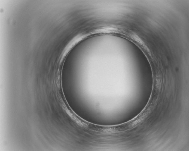 X0000060271421200511010927