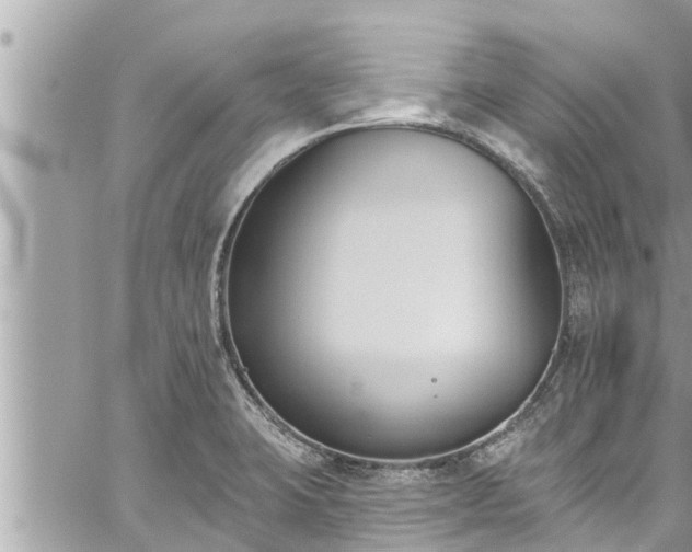 X0000060271423200511010927